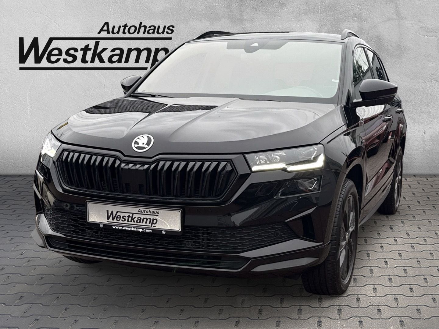 Karoq Sportline 2.0 TDI DSG 4×4 Led Anh.Kpl. Abs