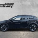 Taigo R-Line 1,0 TSI DSG Ganzj.Reifen IQ-Light K