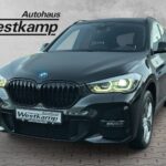 X1 sDrive 18 i M Sport Anh.Kpl.Kamera Led