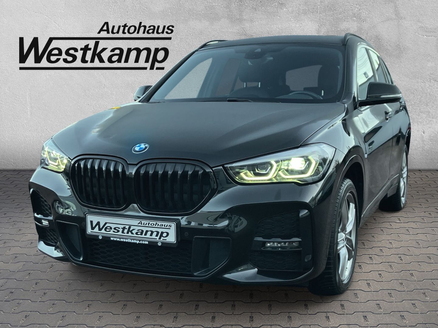 X1 sDrive 18 i M Sport Anh.Kpl.Kamera Led