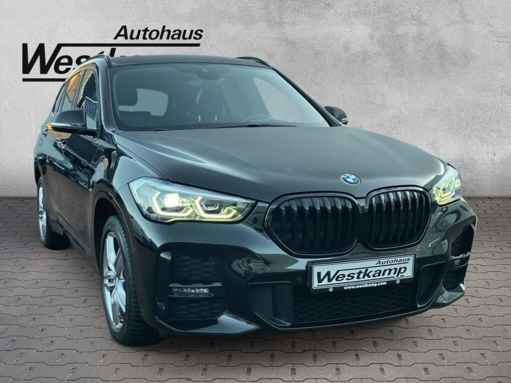 X1 sDrive 18 i M Sport Anh.Kpl.Kamera Led