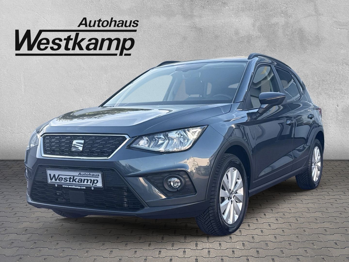 Arona Style 1,6 TDI DSG Ganzj.Reifen Klimaaut. N