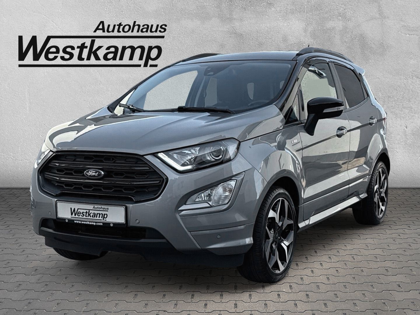 EcoSport 1.0 Ecoboost ST-Line Navi Teilleder Kam