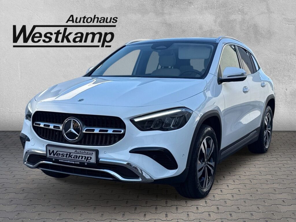 G Progressive Aut. Leder Panodach Navi