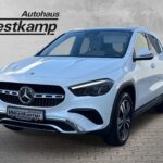 G Progressive Aut. Leder Panodach Navi
