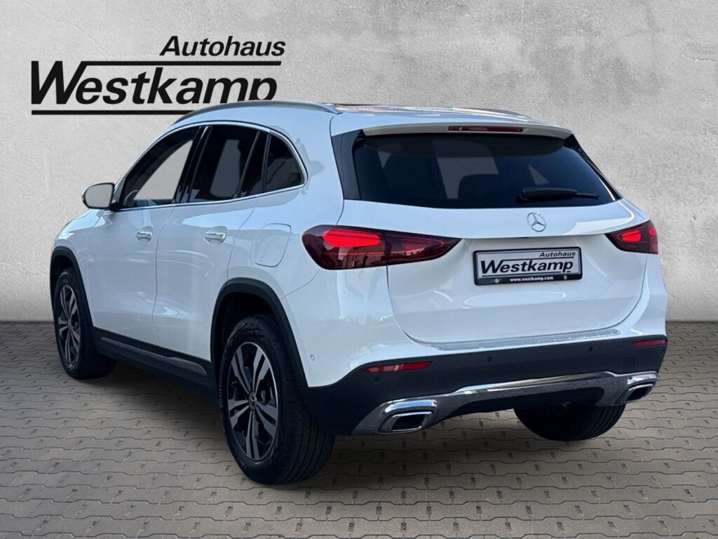 G Progressive Aut. Leder Panodach Navi