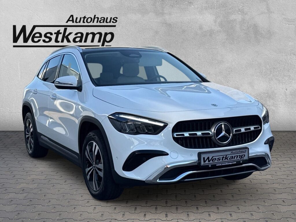 G Progressive Aut. Leder Panodach Navi