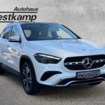 G Progressive Aut. Leder Panodach Navi