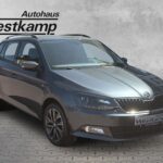 Fabia Combi 1.0 TSI Ambition Klimaaut. Tempomat