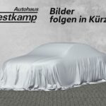 Polo Style 1,0 TSI Ganzj.Reifen IQ-Light-Matrix