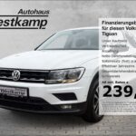 Tiguan IQ-Drive 2.0 TSI DSG 4Motion Ganzj.Reifen