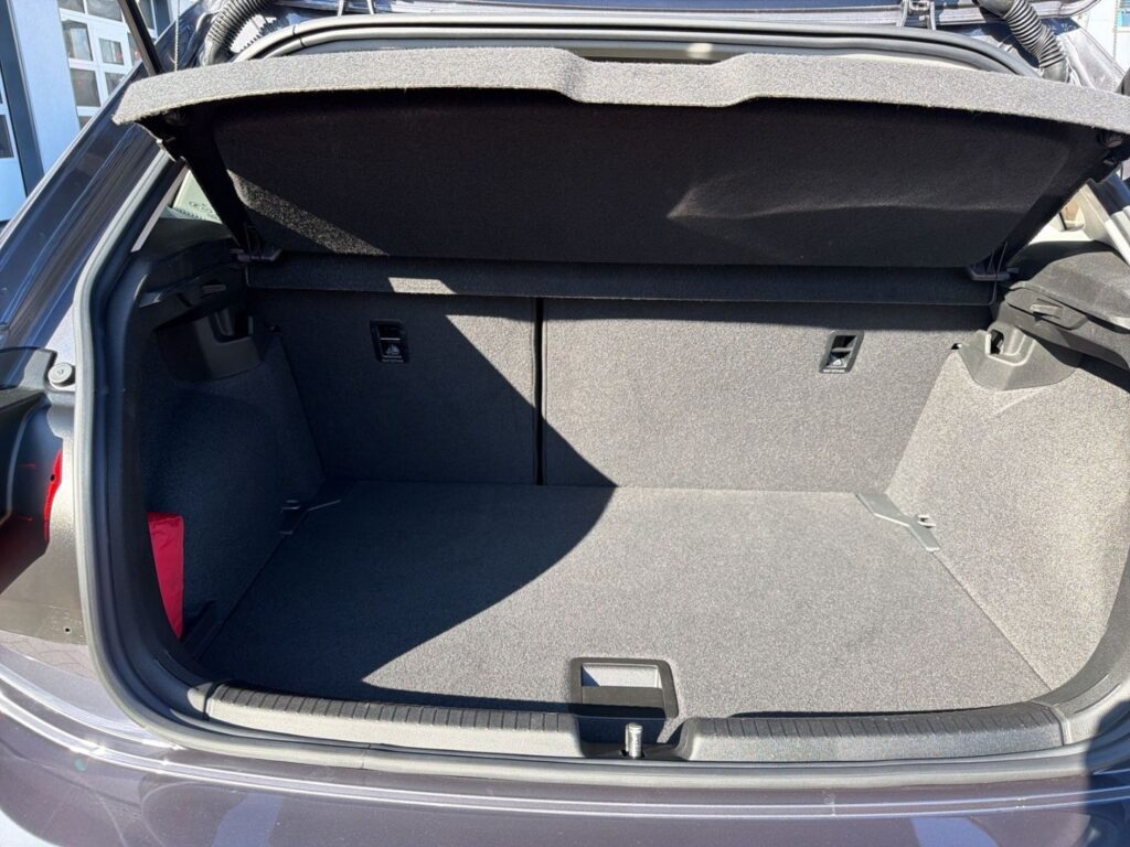Polo Style 1,0 TSI Ganzj.Reifen IQ-Light