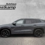 Tayron R-Line 2,0 TSI 4MOTION DSG Black-Style AH