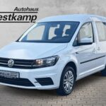 Caddy Trendline 1.4 TSI DSG Rollstuhlladehilfe /