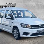 Caddy Trendline 1.4 TSI DSG Rollstuhlladehilfe /