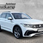 Tiguan R-Line 2,0 TDI 4MOTION DSG AHK Leder ACC